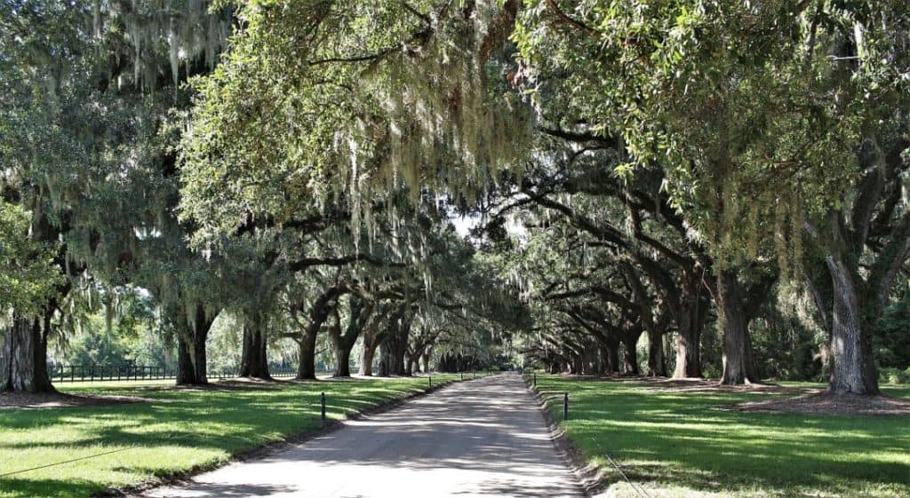 Boone Plantation. Karolina Południowa