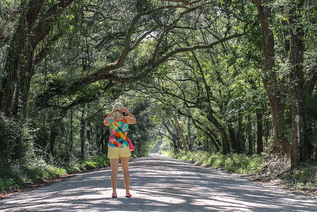 Forrest Gump z Beaufort 19 Edisto Island – krajobraz Poludnia jak z Forresta Gumpa