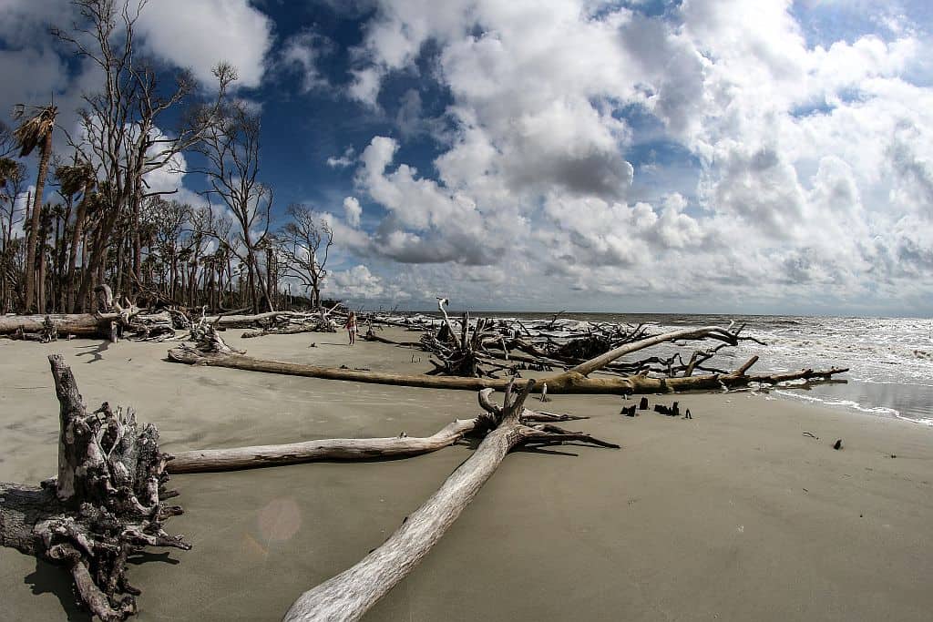 Forrest Gump z Beaufort 11 Hunting Island – filmowe plenery z Forresta Gumpa a