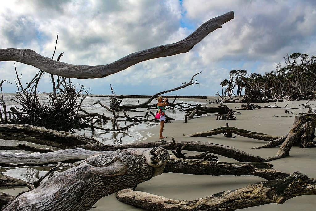 Forrest Gump z Beaufort 10 Hunting Island – filmowe plenery z Forresta Gumpa