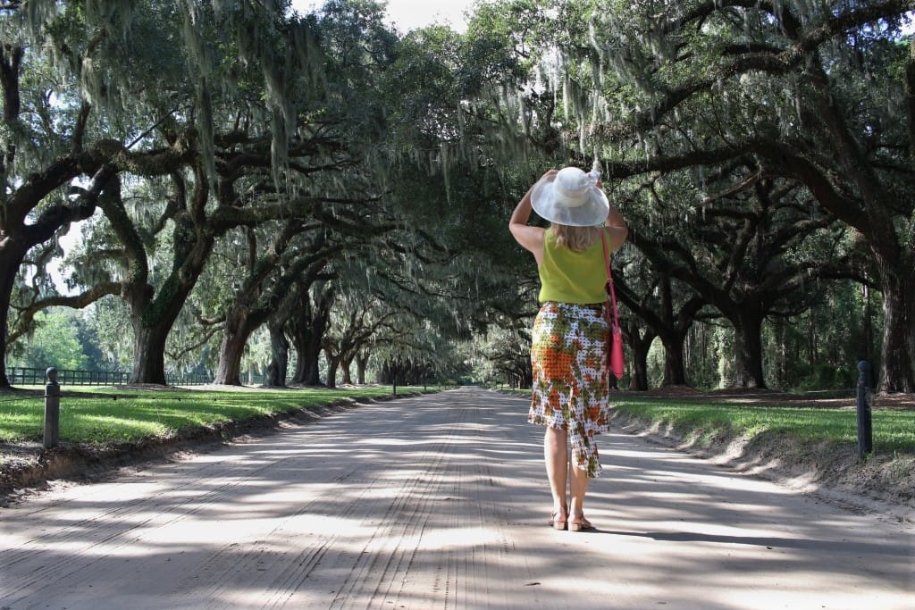 Boone Hall Plantation. Aleja dębowa,