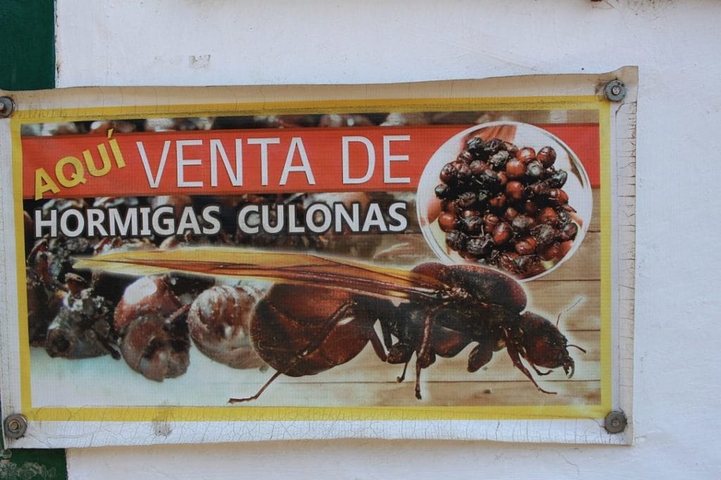 Barichara Hormigas Culonas