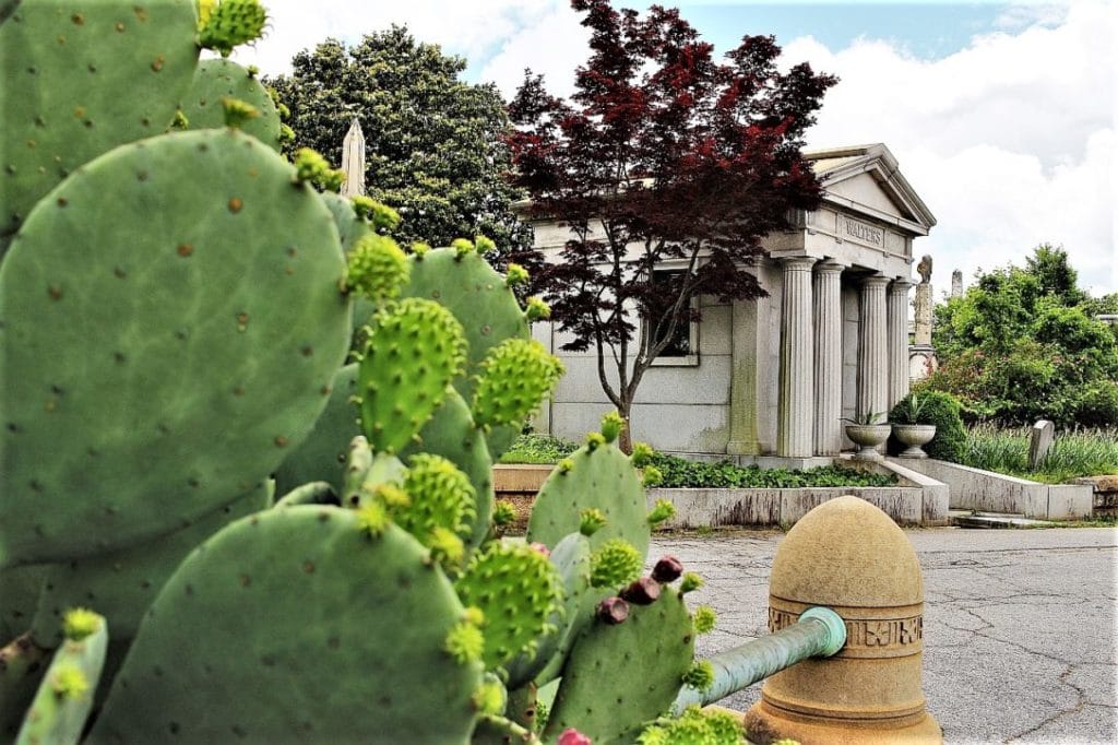 Cmentarz Oakland w Atlancie 16 Oakland Cementry Atlanta7