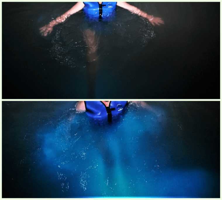 Co zobaczyć na Jamajce 27 bioluminoscencja, jamaica, falmouth