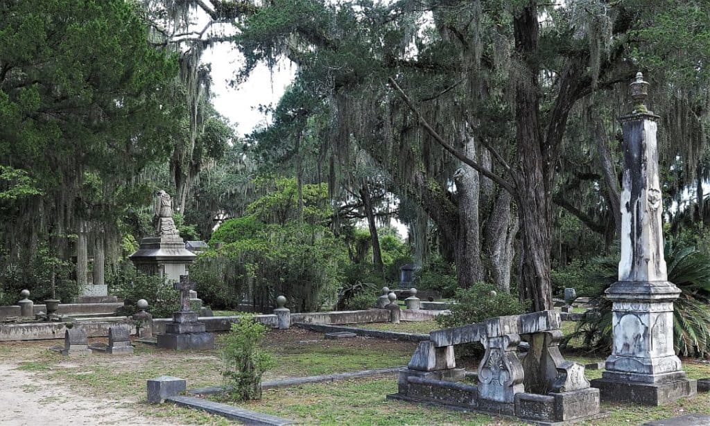 Cmentarz Bonaventure 18 Bonaventure cemetery