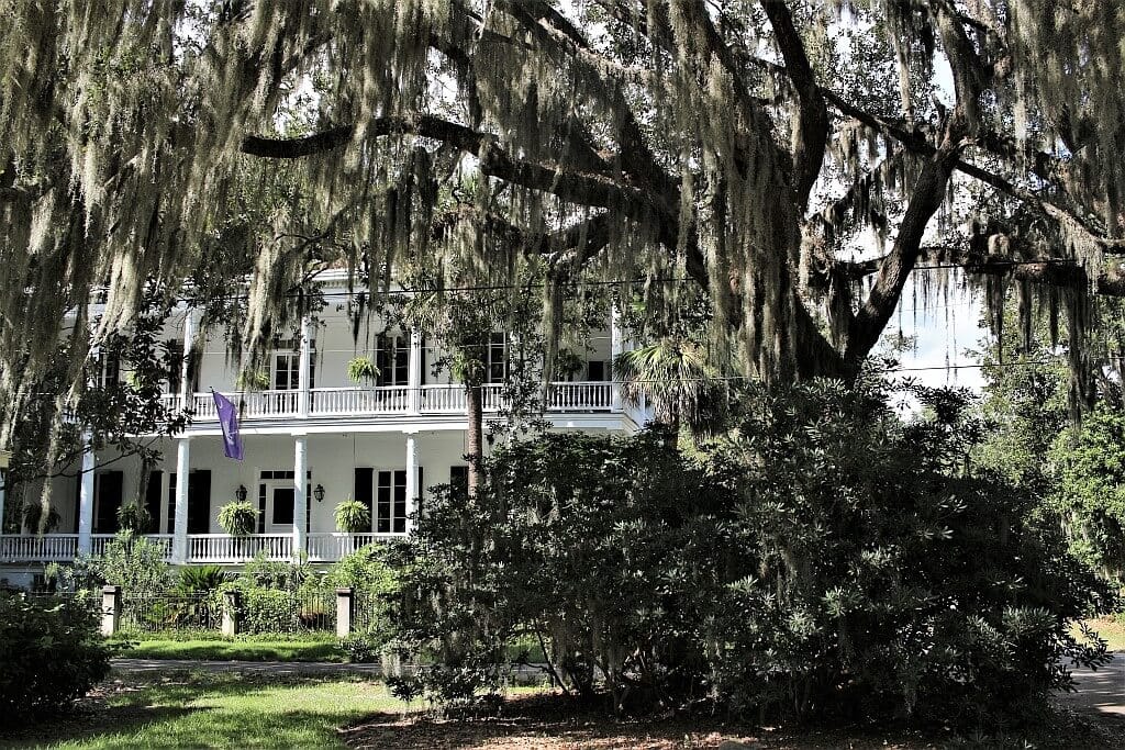 Forrest Gump z Beaufort 31 IMG 5458