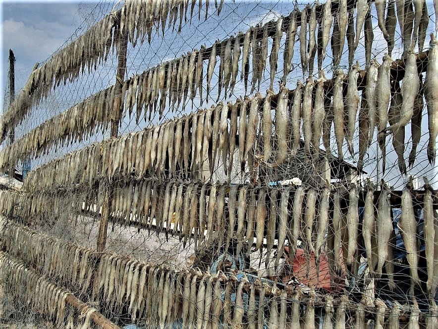 Mumbaj i wyspa Elefanta 21 Mumbai-Fishing-Village