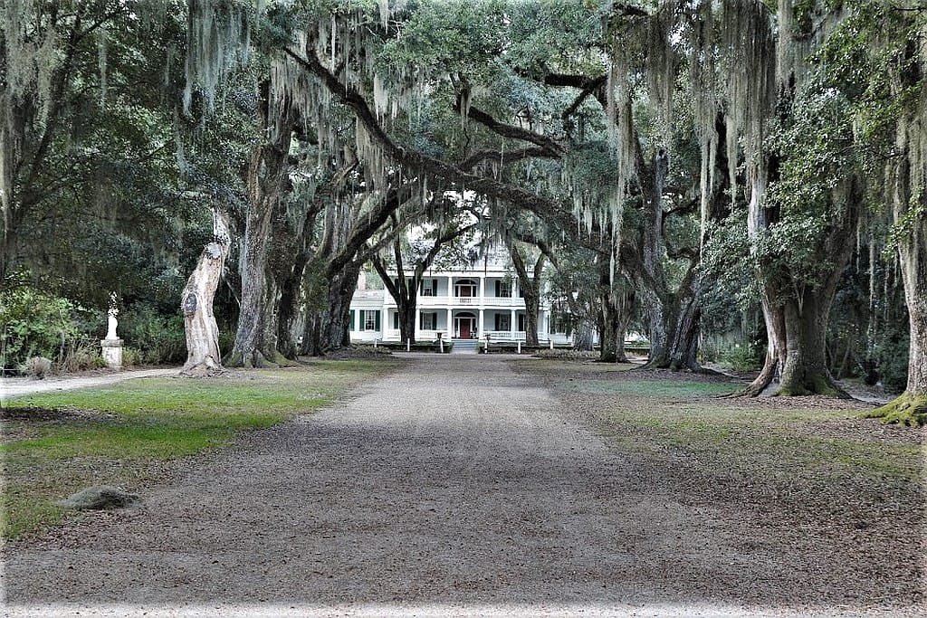 Plantacje w Luizjanie – Oak Alley i Rosedown 20 Rosedown Plantation Luizjana