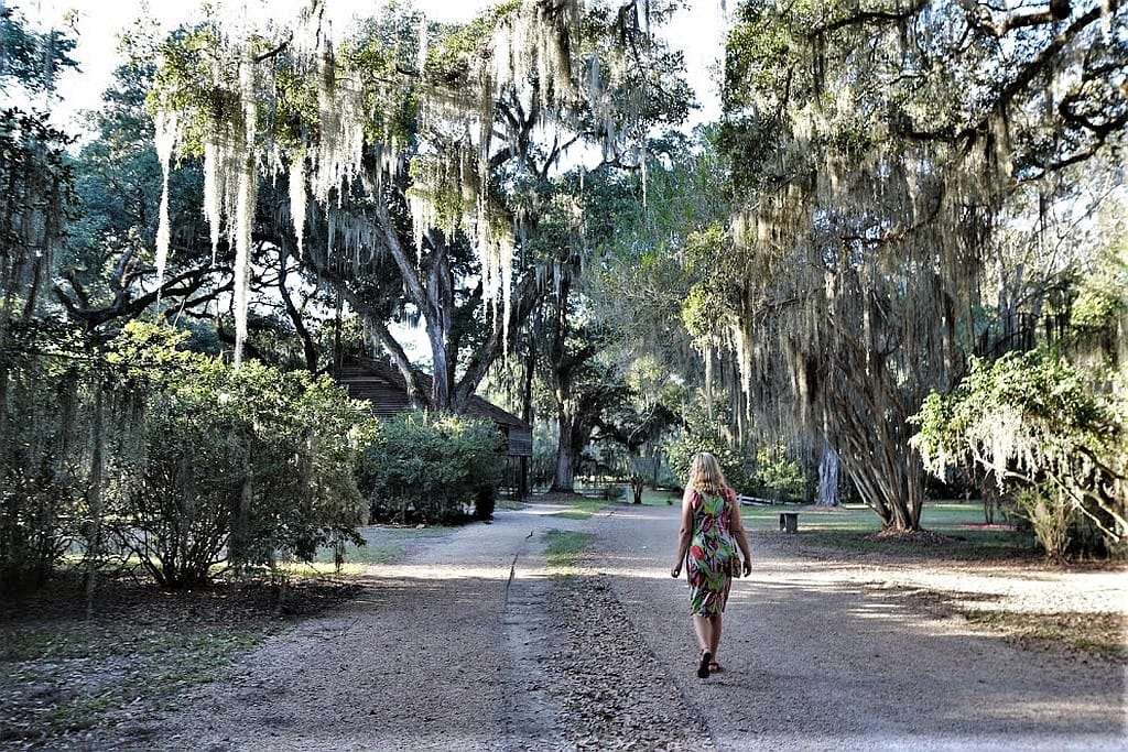 Plantacje w Luizjanie – Oak Alley i Rosedown 26 Rosedown Plantation, Luizjana