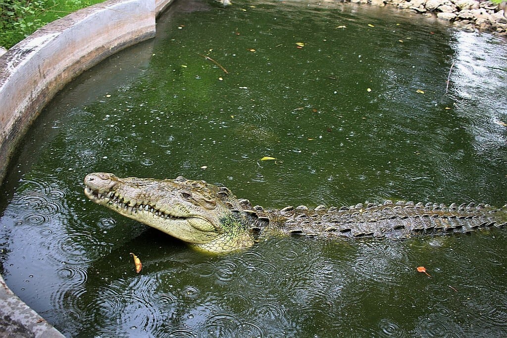 IMG 0653