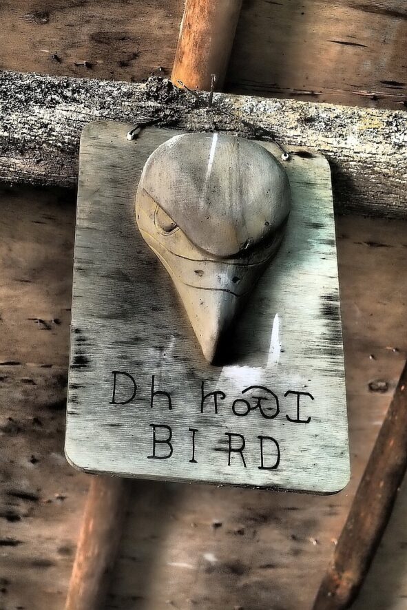 Czirokezi clan bird