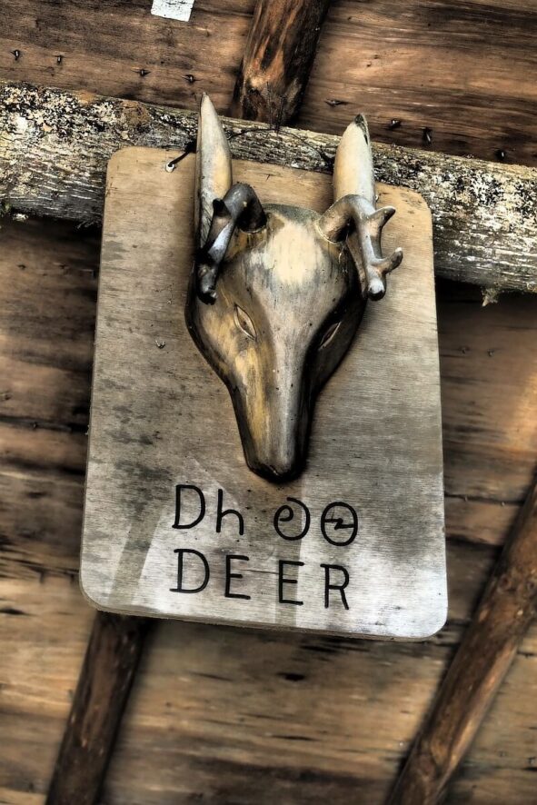 Czirokezi clan deer