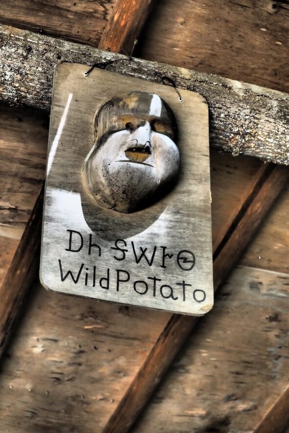 Czirokezi clan wild patato