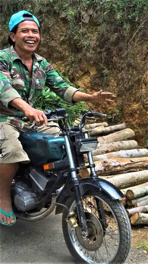 Indonezja Jawa pole herbaty