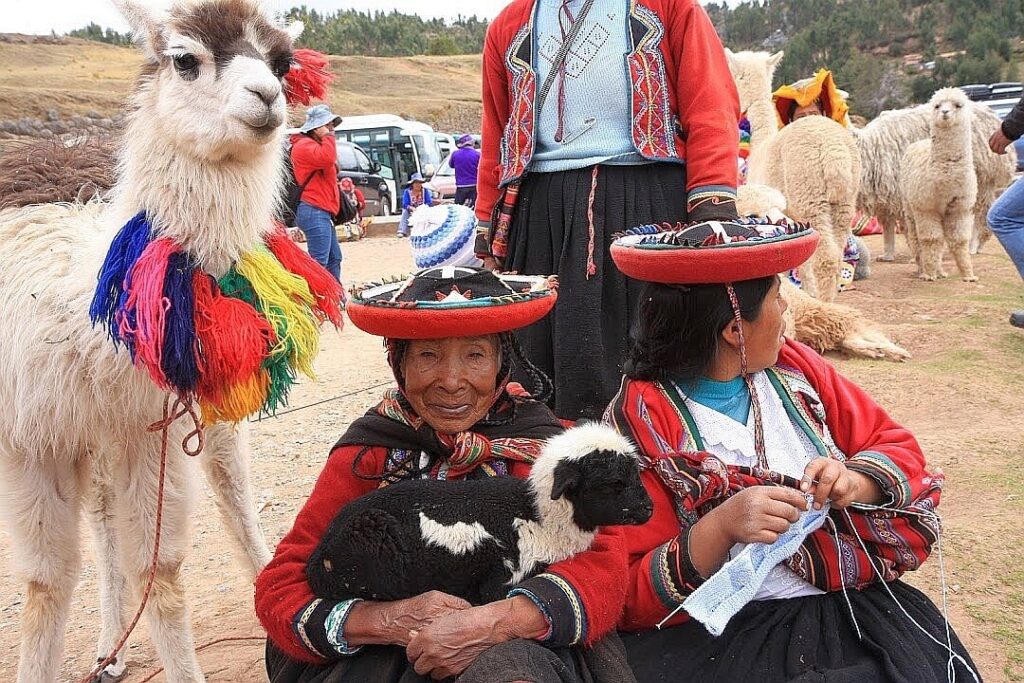 Cuzco lamy