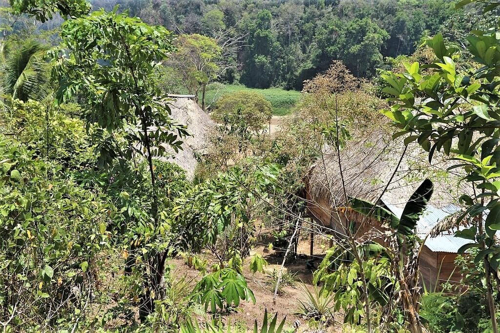 Indianie Embera Charges Panama