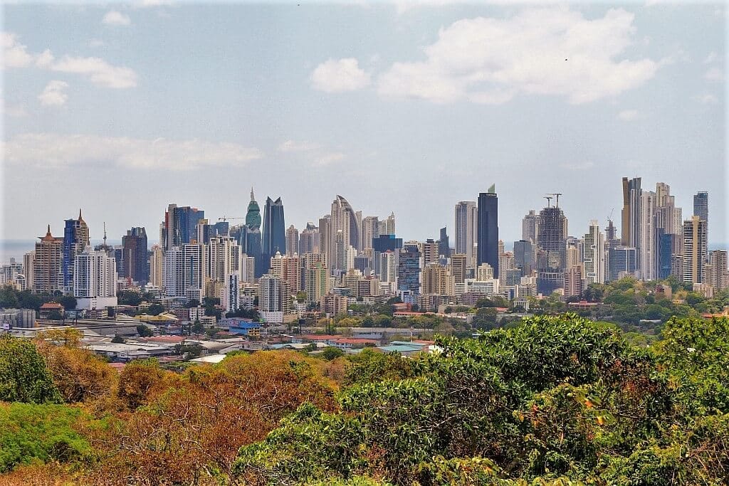 Leniwce w Panamie 16 Leniwce Panama