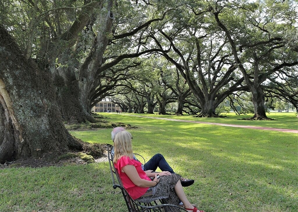 Plantacje w Luizjanie – Oak Alley i Rosedown 10 Oak Alley Luizjana