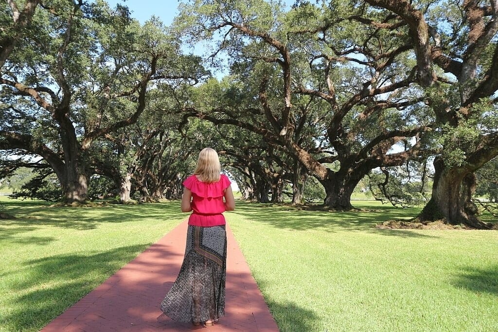 Plantacje w Luizjanie – Oak Alley i Rosedown 13 Plantacje w Luizjanie Oak Alley