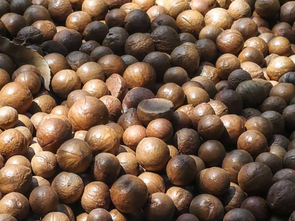 Co zobaczyć w Antigua Guatemala – najważniejsze atrakcje 46 Valhalla Macadamia Farm gwatemala
