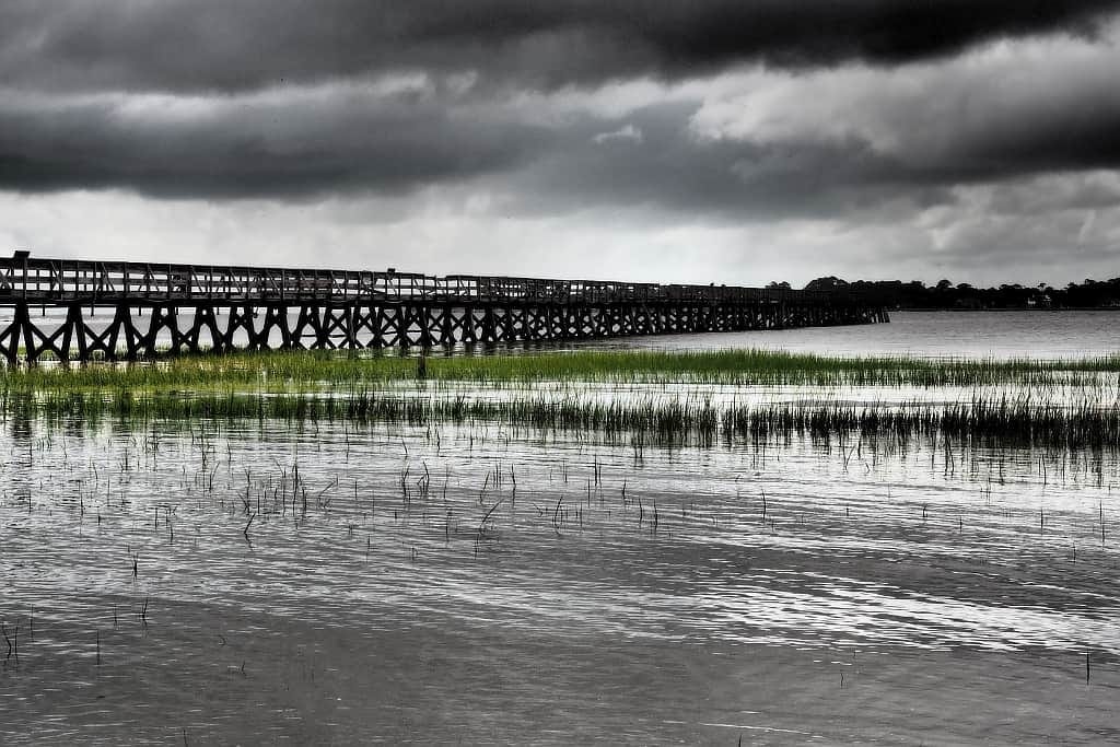 Forrest Gump z Beaufort 20 forrest Gump filmowy most