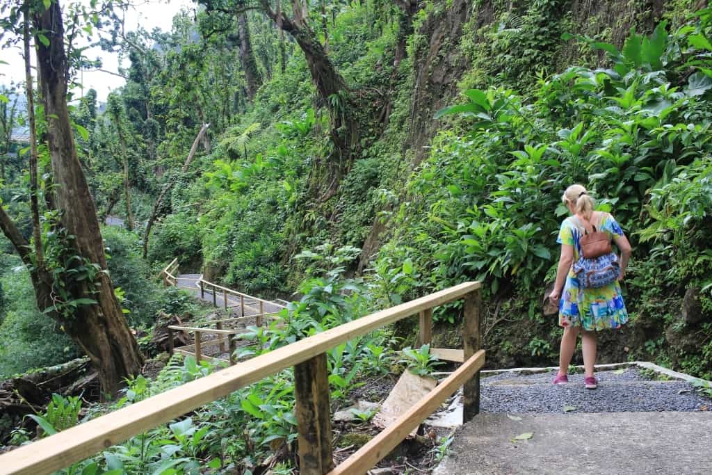 Wodospady Trafalgar Wyspa Dominika