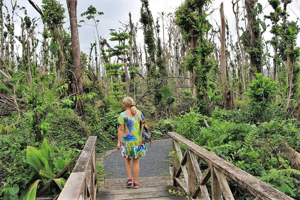 Wyspa dominika Emerald Pool 1