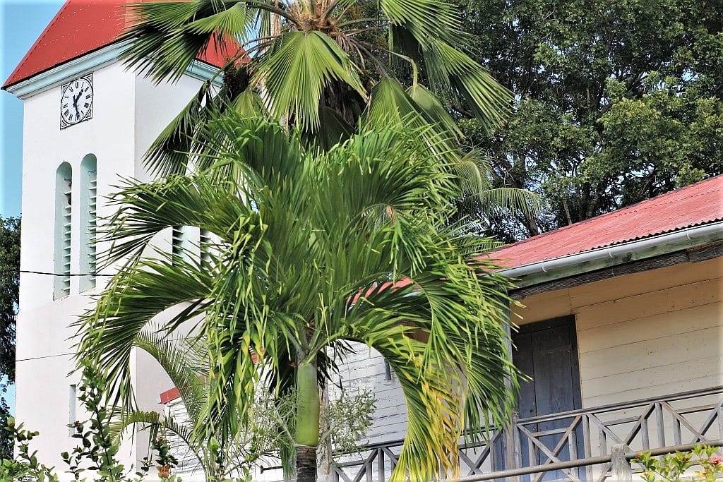 Smierc pod palmami posterunek 5