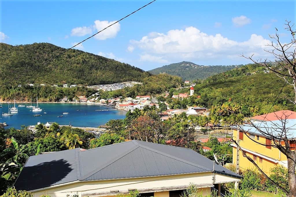 smierc pod palmami panorama