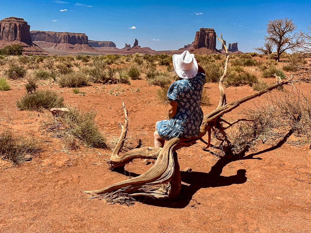 Co zobaczyć w Monument Valley – trasa i najważniejsze miejsca 23 Co zobaczyc w Monument Valley Artists Point