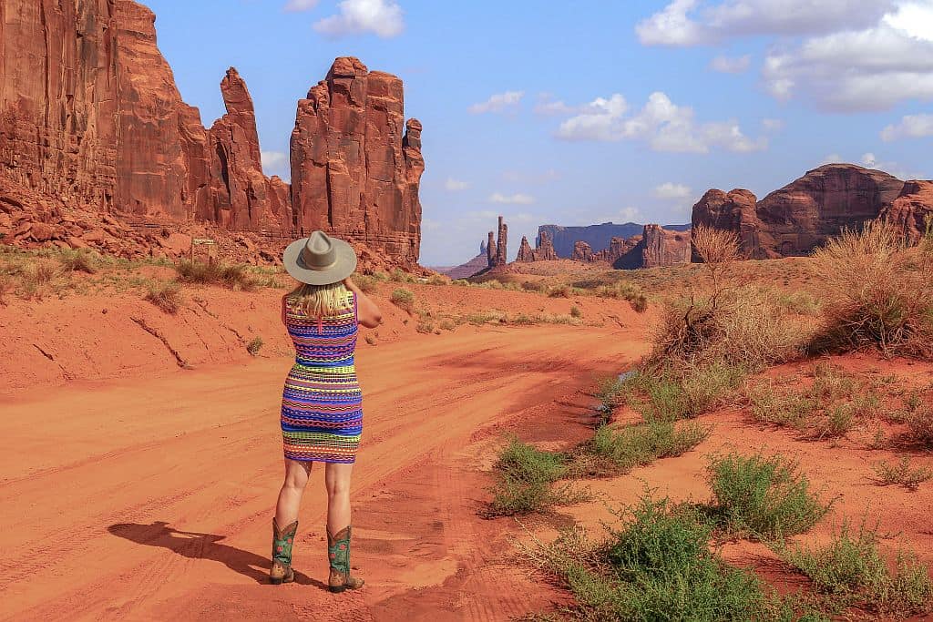 Monument Valley Drive Bird i The Hand
