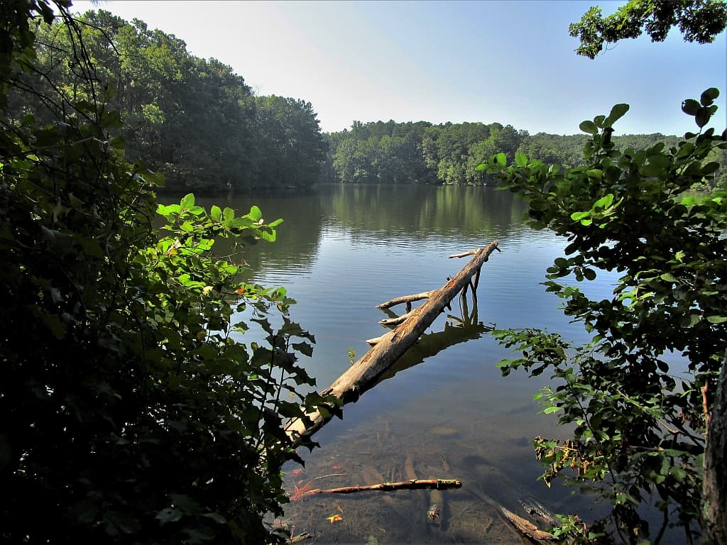 Stone Mountain Park lake 2