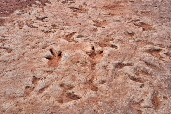 Zobacz ślady dinozaurów w Moenave Dinosaur Tracks