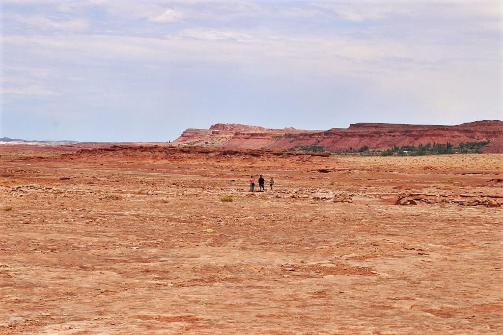 slady dinozaurow. Navajo Moenave Dinosaur Tracks aa