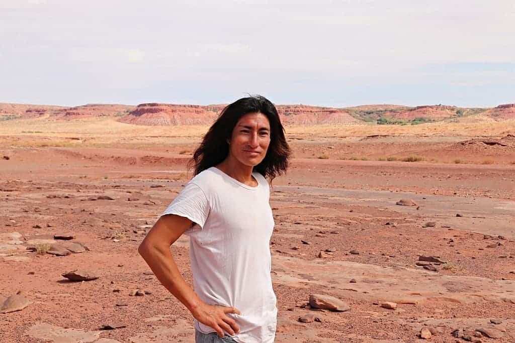 slady dinozaurow. Navajo Moenave Dinosaur Tracks e