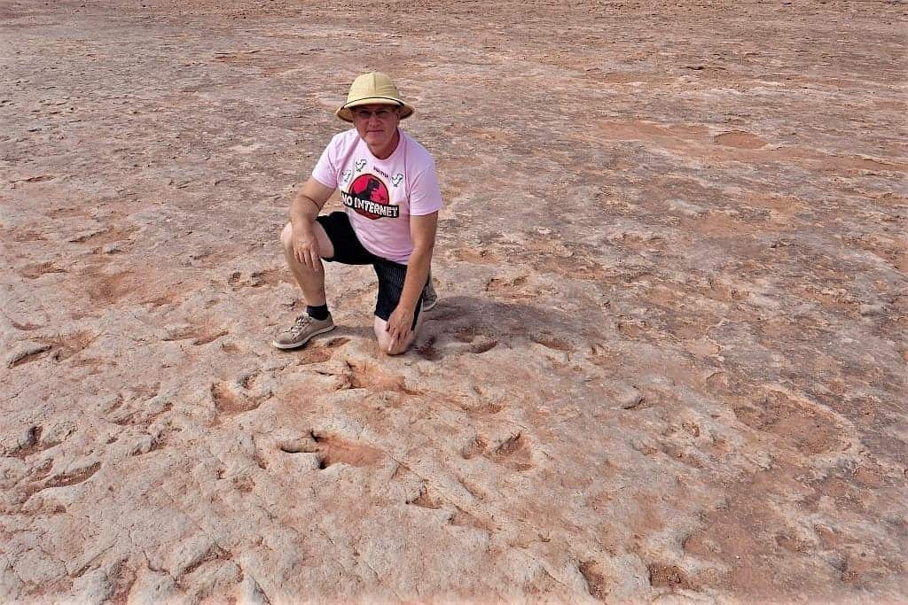 slady dinozaurow. Navajo Moenave Dinosaur Tracks j