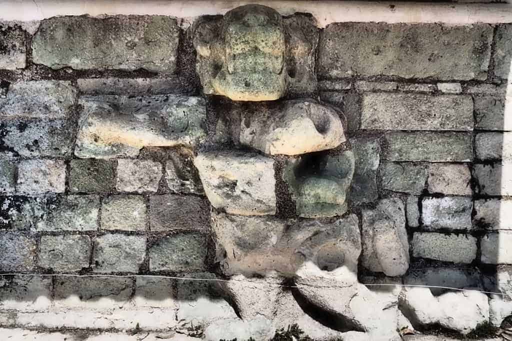 Copan Ruins jaguar