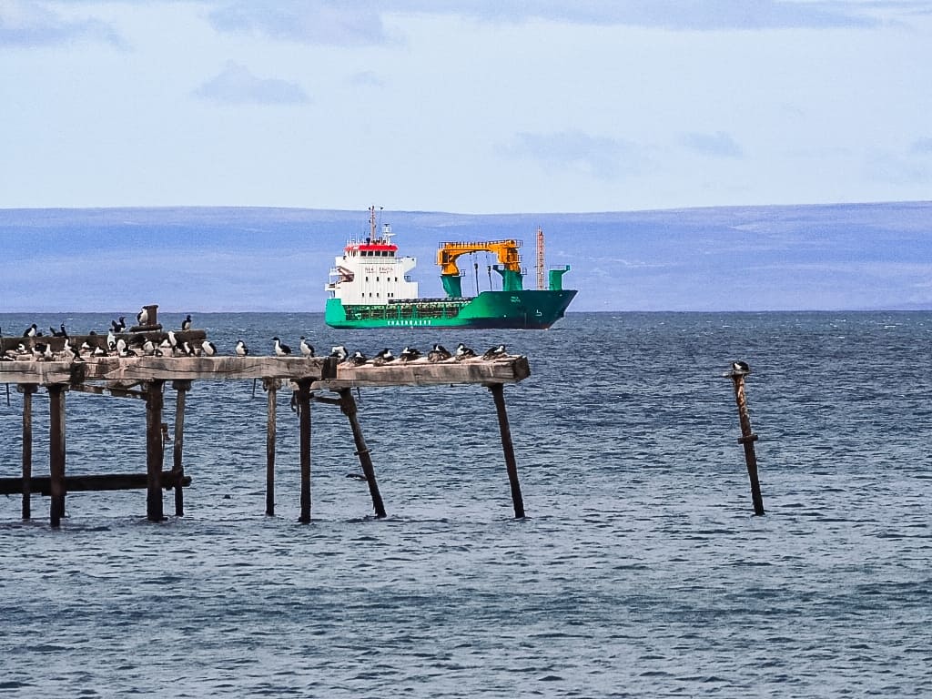 Punto Arenas zatoka magellana 2