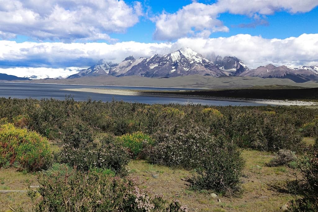 Torres Del Paine Laguna Amarga a