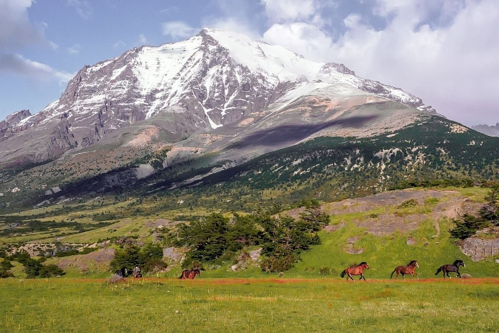 Torres dle Paine horses