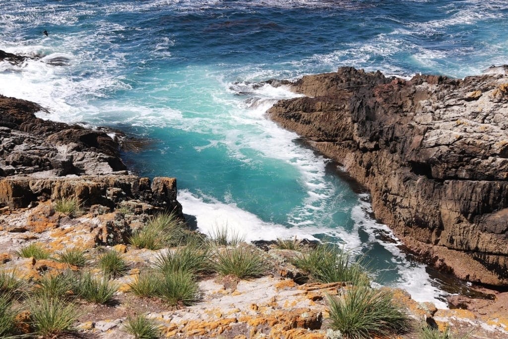 Pingwiny skalne na Falklandach – Rockhopper 23 Cape Bougainville Falklandy 04