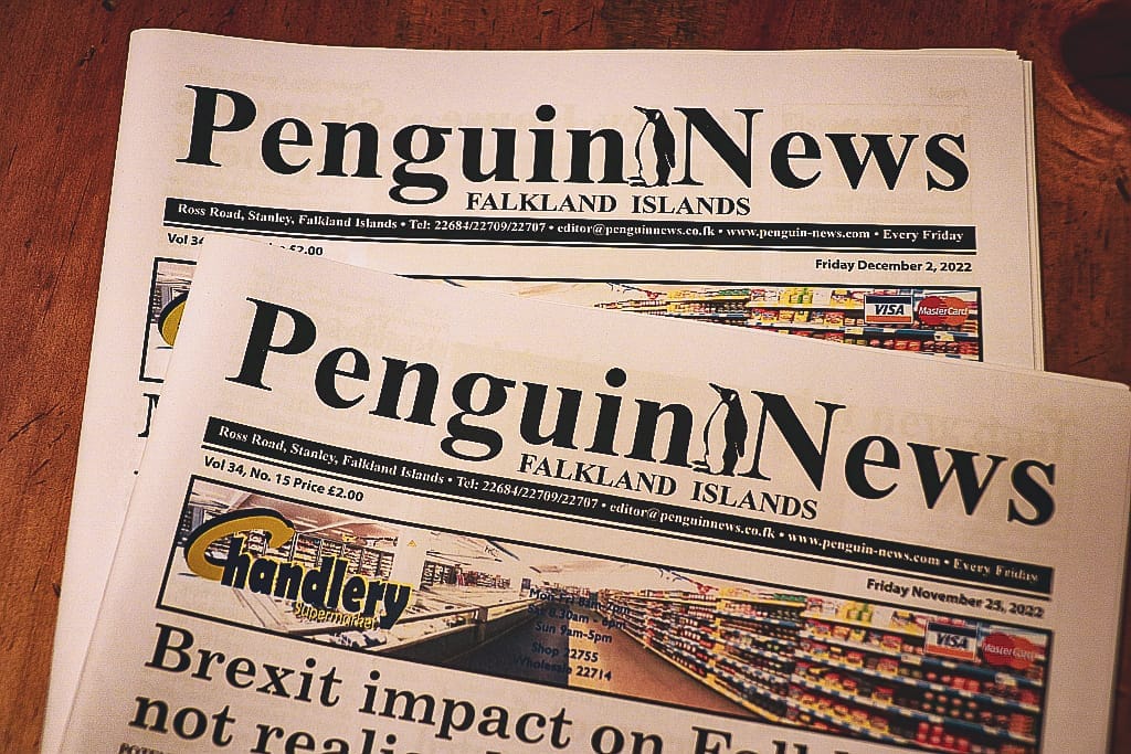 Falklandy – jak dotrzeć i spotkać pingwiny z bliska 7 Penguin news Falklandy 2