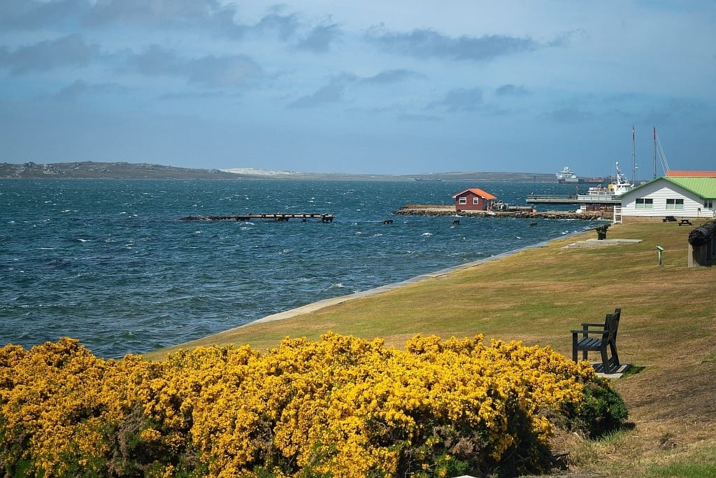Falklandy – jak dotrzeć i spotkać pingwiny z bliska 5 Stanley Falkland Island 3