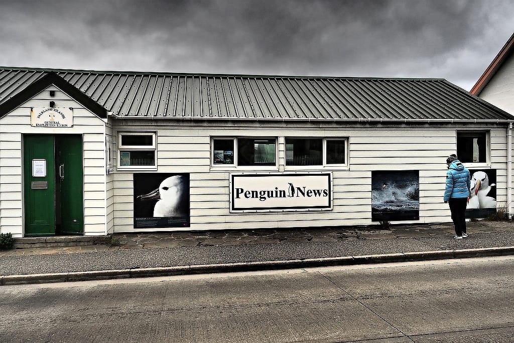 Falklandy – jak dotrzeć i spotkać pingwiny z bliska 6 Stanley Falkland Island pinguin news