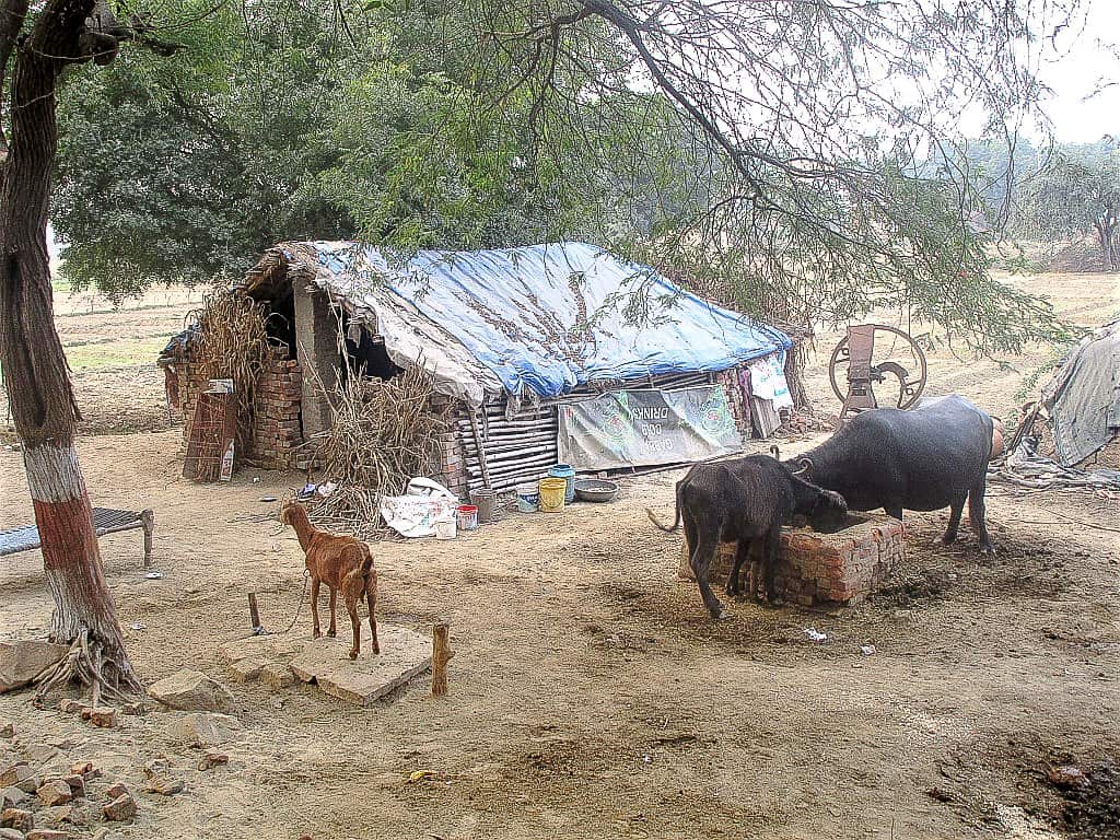 Agra bieda