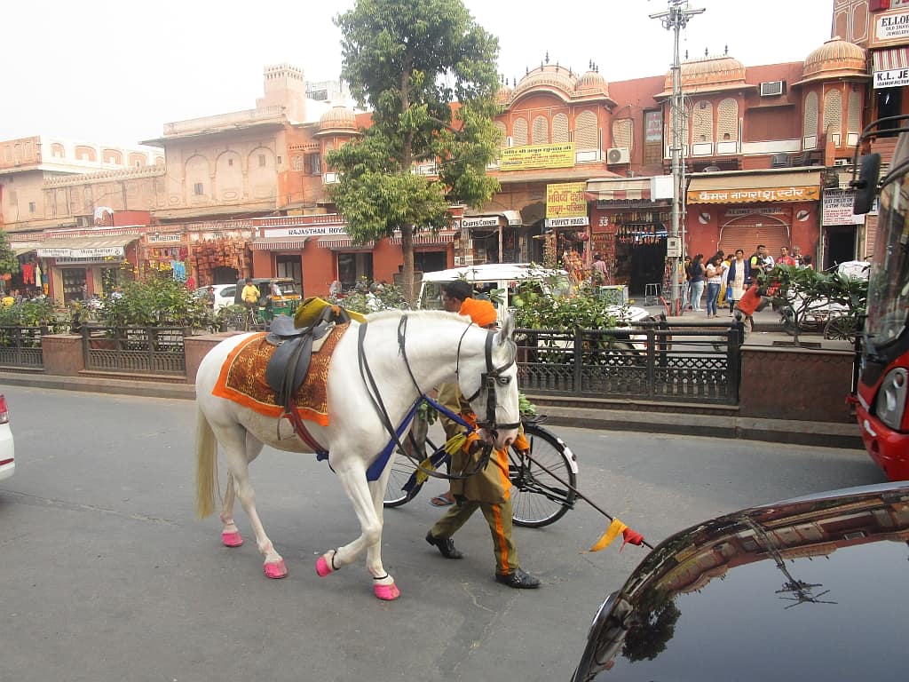 Jaipur kon