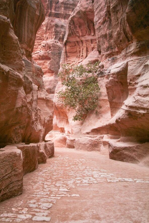 Petra w Jordanii. Starożytne miasto Nabatejczyków 3 Petra w Jordanii.3