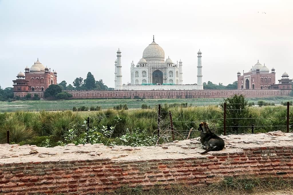 Tadz Mahal 05