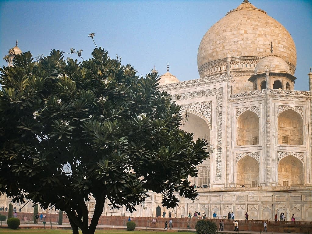 Tadz Mahal 11