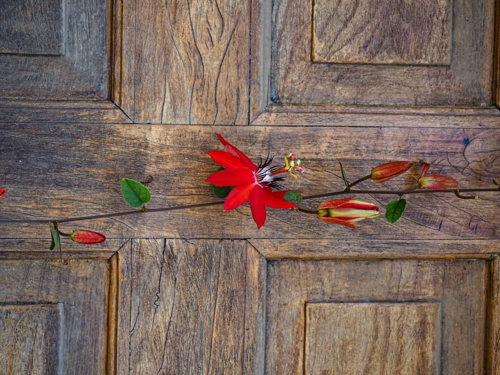 Ruta de las Flores. Szlakiem kwiatów w Salwadorze 7 Ruta de las Flores Ataco El Salvador h